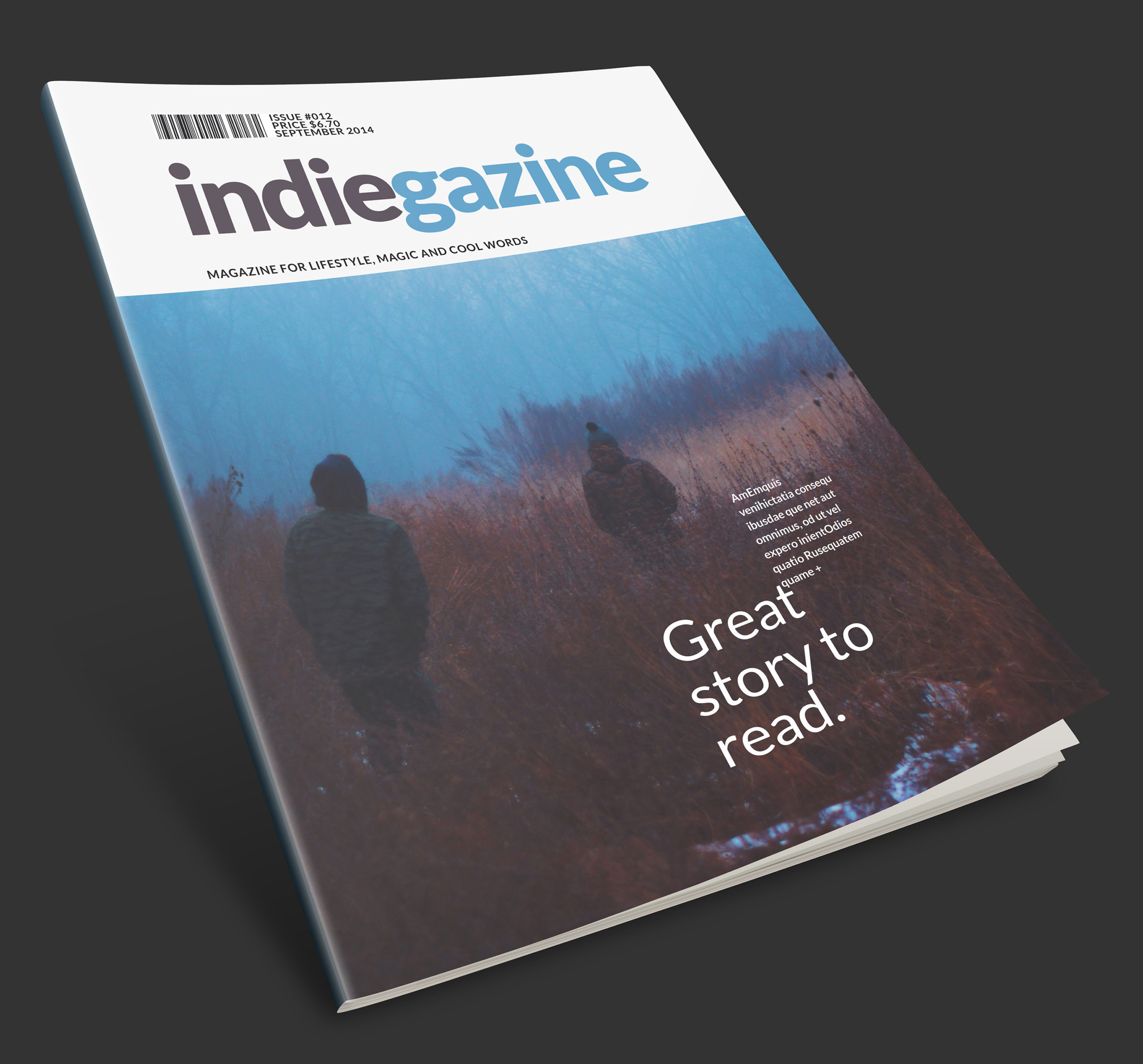 InDesign - Magazine cover template